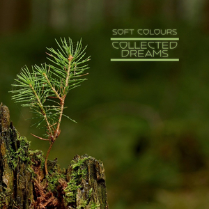 色天使在线观看
